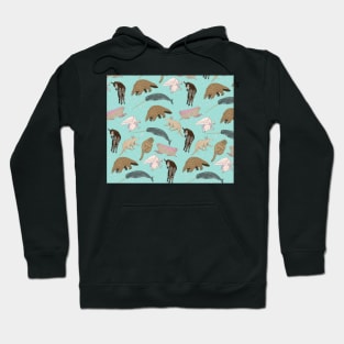 My Favourite Amazing Animals Hoodie